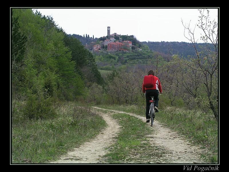 Villa Letizia Oprtalj Quarto foto